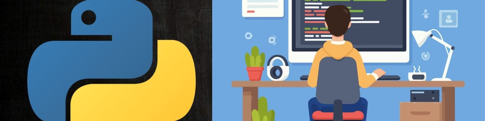 Why Python
